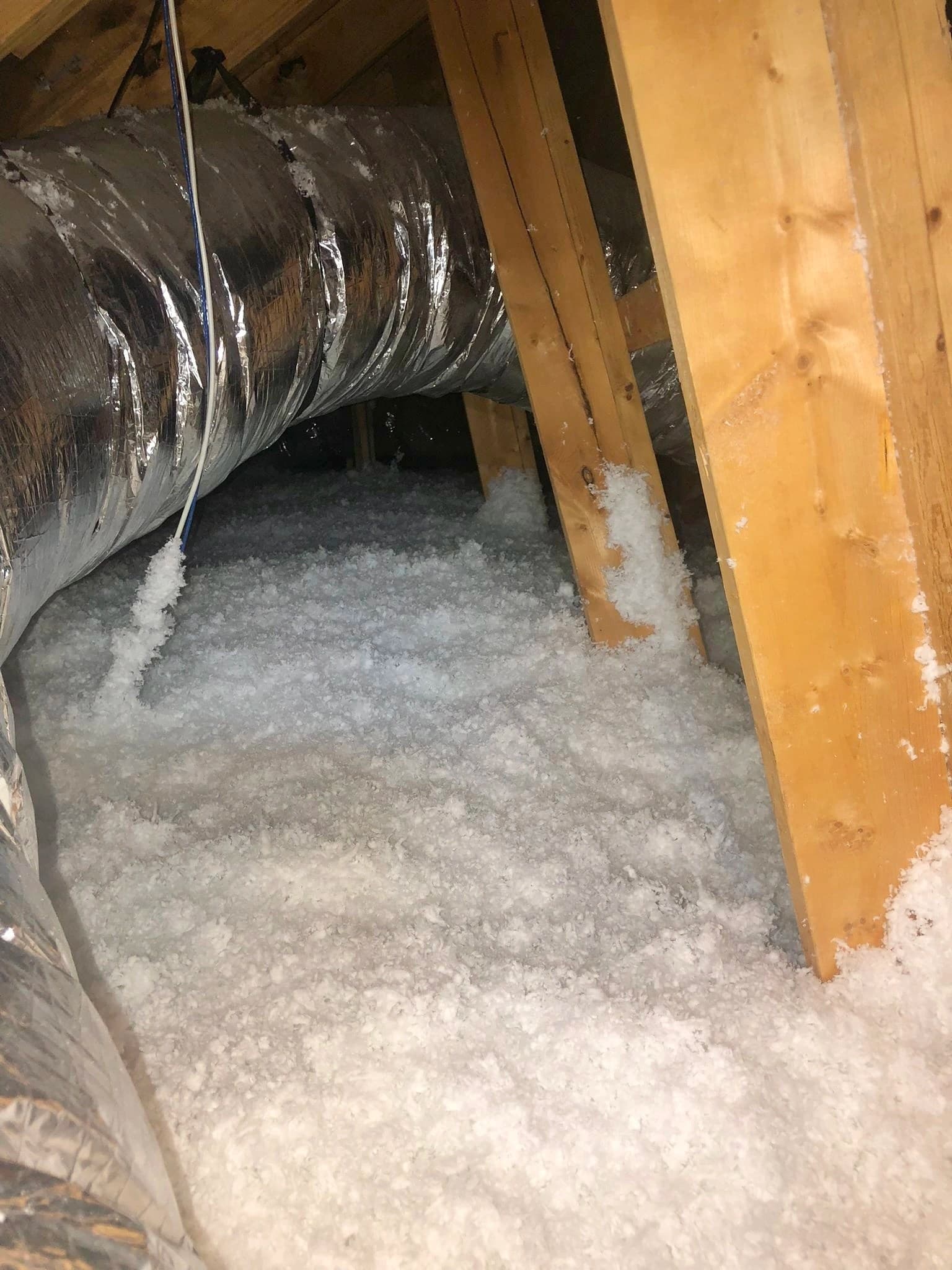 Fresh blown-in attic insulation between wood framing in a Texas home
