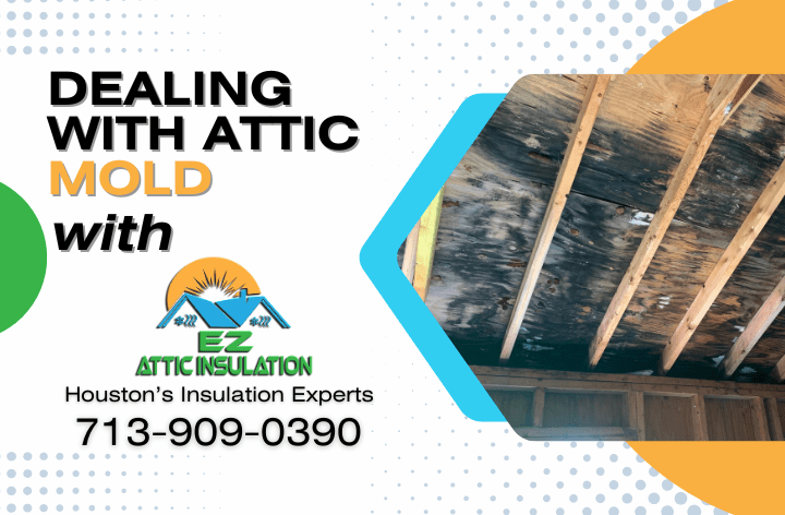 Dealing with Attic Mold: Q&A featured image