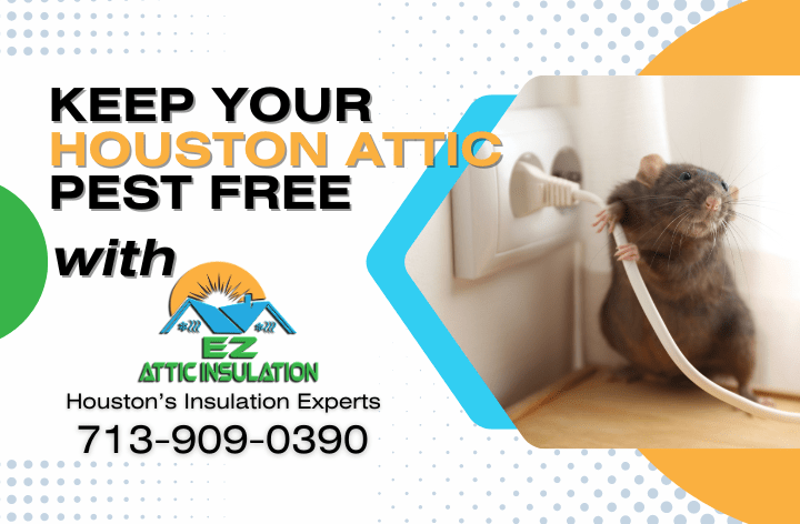 Keep Your Houston Attic Pest-Free featured image