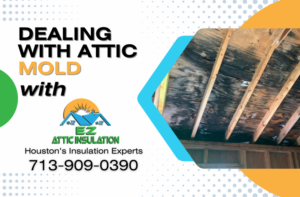 attic mold blog banner for ez attic insulation, houston's insulation experts